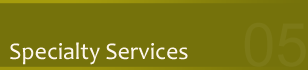 Services